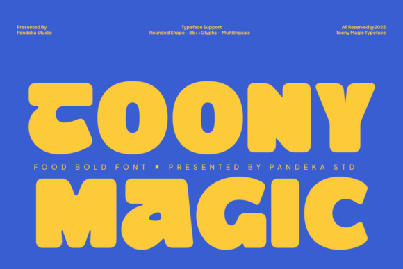 Boost Campaign Energy with Toony Magic Display Fonts